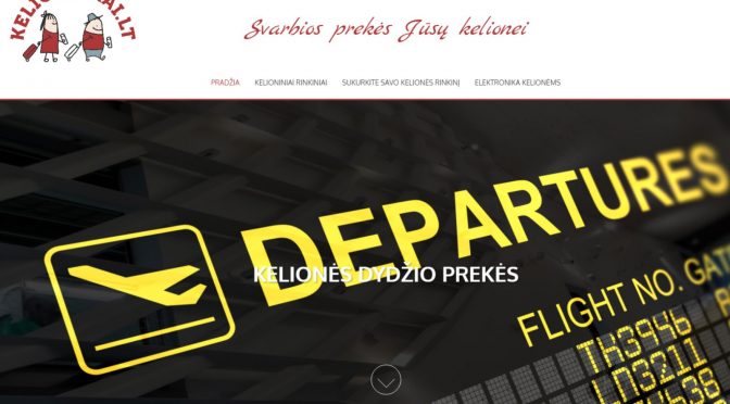 elektroninės parduotuvės sukūrimas